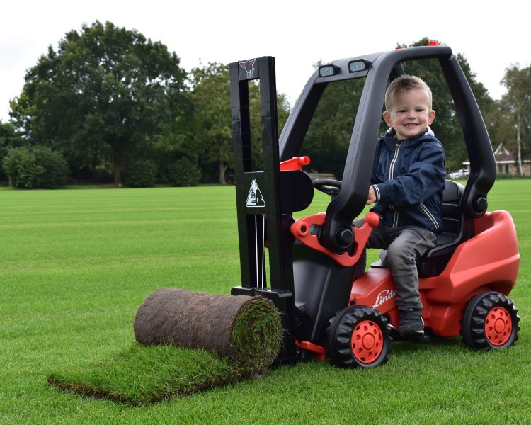 sfeerfoto Graszoden van Graco uit Drenthe