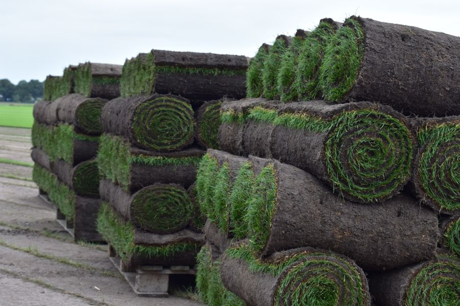 sfeerfoto Graszoden van Graco uit Drenthe